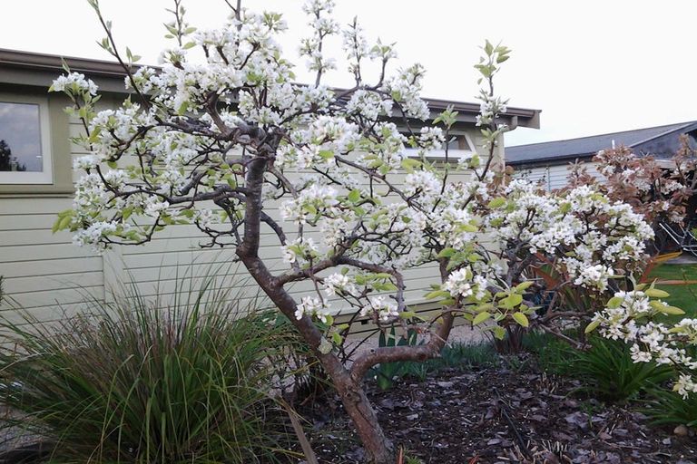 Photo of property in 27a Fearon Street, Motueka, 7120