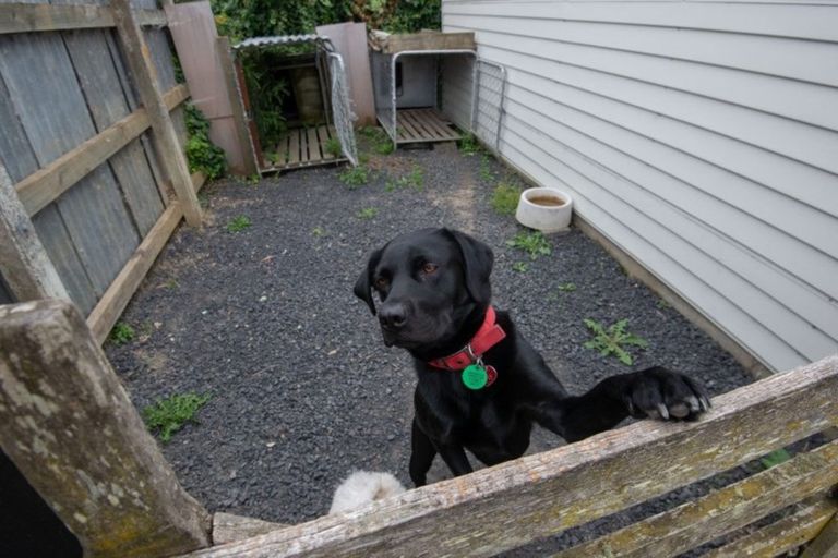 Photo of property in 12 Hall Street, Mosgiel, 9024