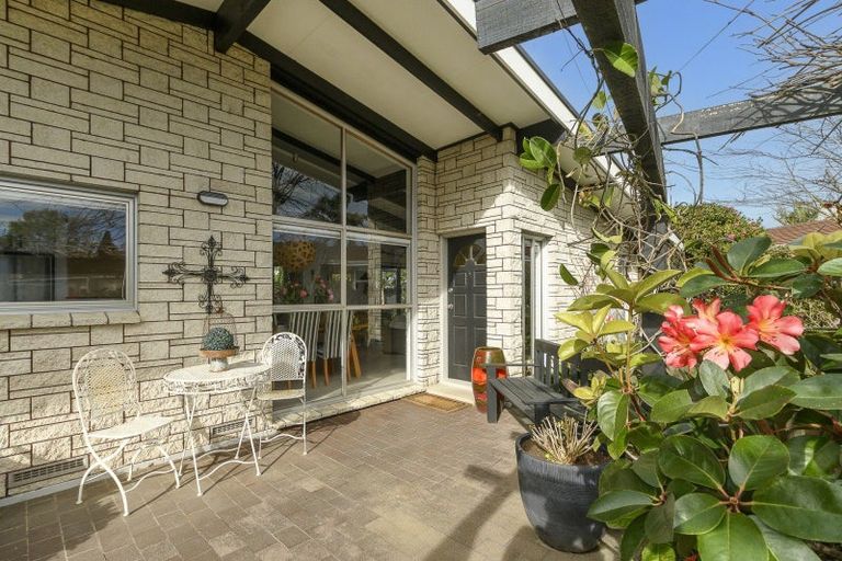 Photo of property in 17 Linklater Avenue, Bellevue, Tauranga, 3110
