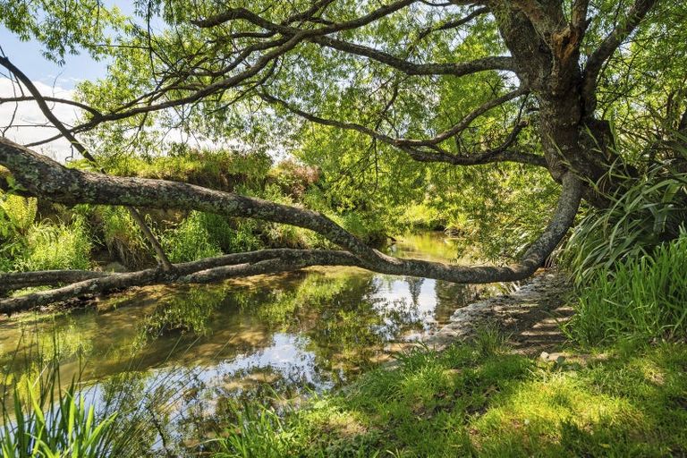 Photo of property in 39b Aquarius Drive, Kawaha Point, Rotorua, 3010