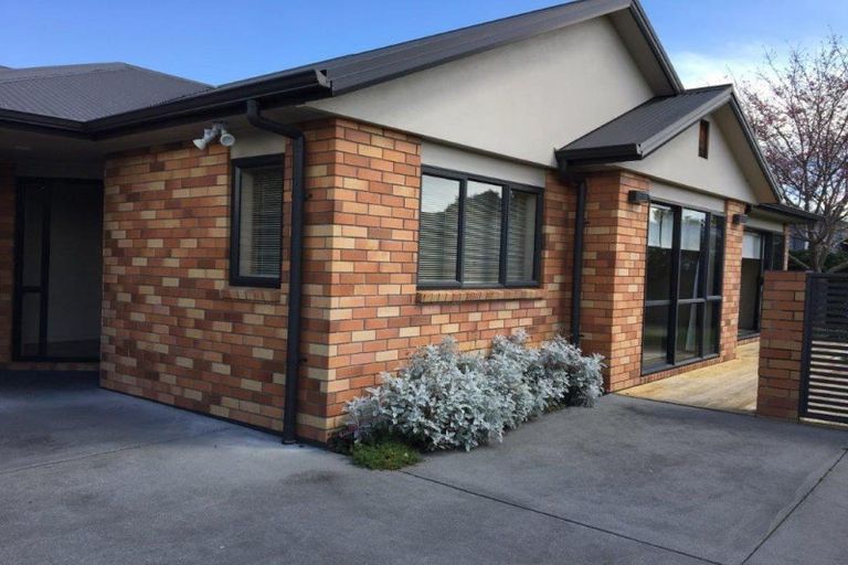 Photo of property in 16a Thompson Street, Leamington, Cambridge, 3432