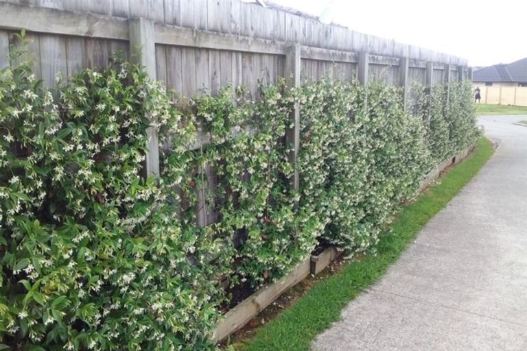 Photo of property in 14 North Crest Drive, Onerahi, Whangarei, 0110