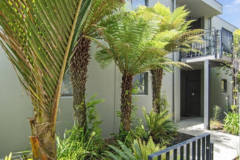 Photo of property in Kotare Place, Kaiteriteri, Motueka, 7197