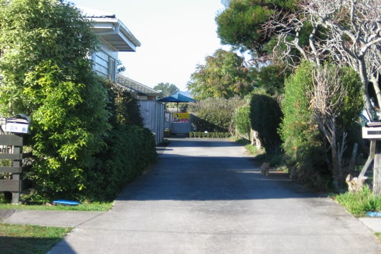 Photo of property in 149a Old Wairoa Road, Papakura, 2110