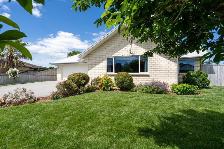 Photo of property in 8 Madison Street, Cambridge, 3434