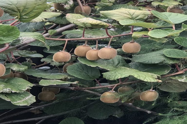 Photo of property in 10 Kings Avenue, Saint Kilda, Dunedin, 9012