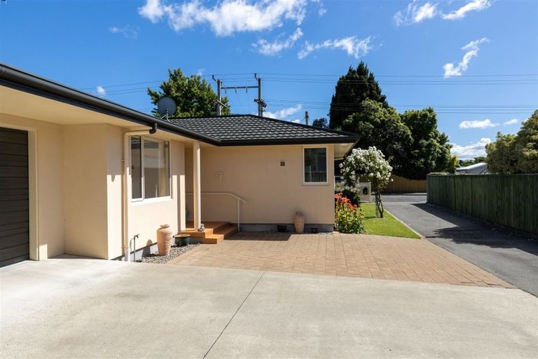 Photo of property in 91a Alfred Street, Blenheim, 7201