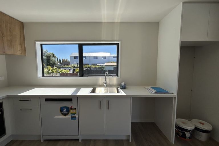 Photo of property in 45b Ryan Street, Phillipstown, Christchurch, 8011