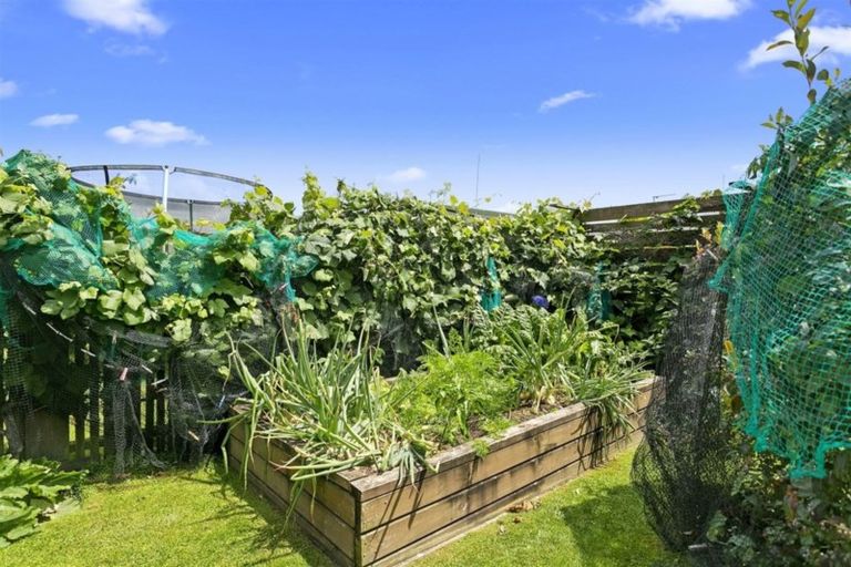 Photo of property in 1b Wrigley Place, Matamata, 3400