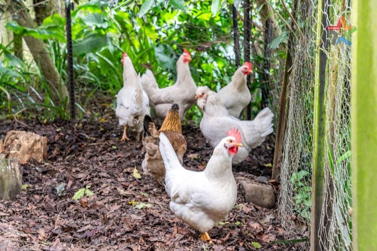 Photo of property in 81 Horoeka Street, Stokes Valley, Lower Hutt, 5019