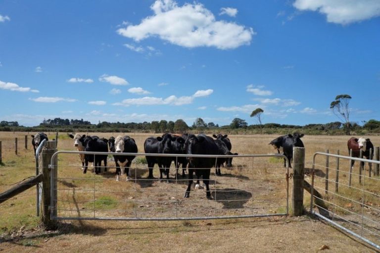 Photo of property in 93 Uretiti Road, Waipu, 0582