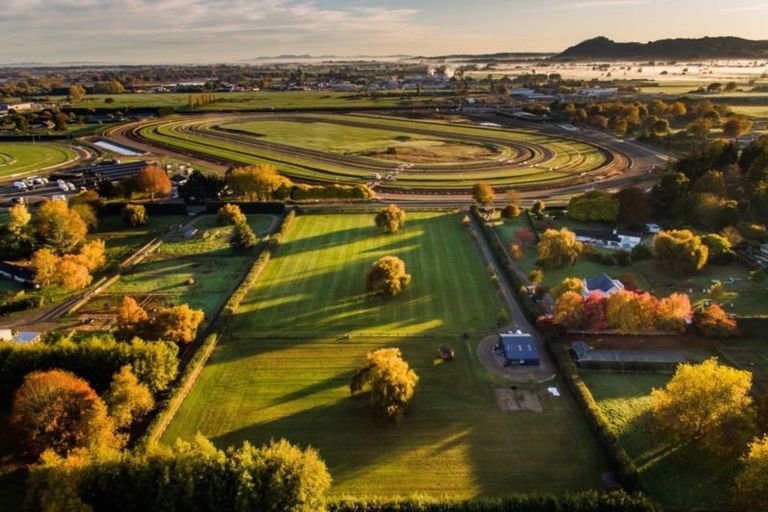 Photo of property in 25 Racecourse Road, Cambridge, 3493