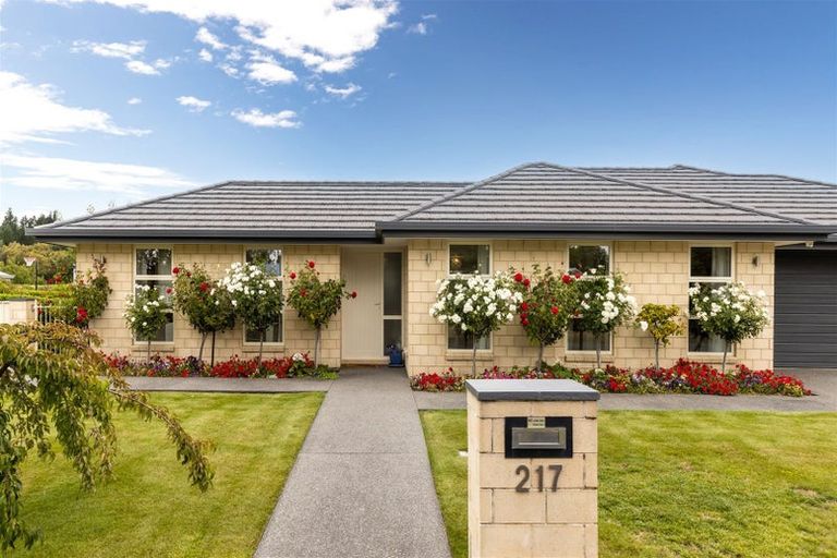 Photo of property in 217 Taylor Pass Road, Witherlea, Blenheim, 7201
