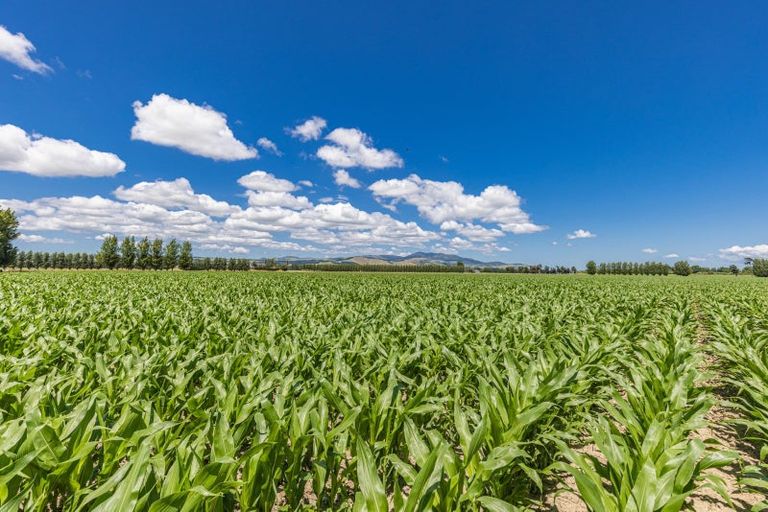 Photo of property in 247 Mahaki Road, Dyerville, Martinborough, 5781