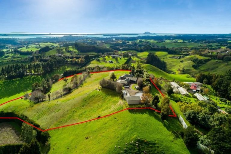 Photo of property in 230f Waipapa Block Road, Whakamarama, Tauranga, 3180