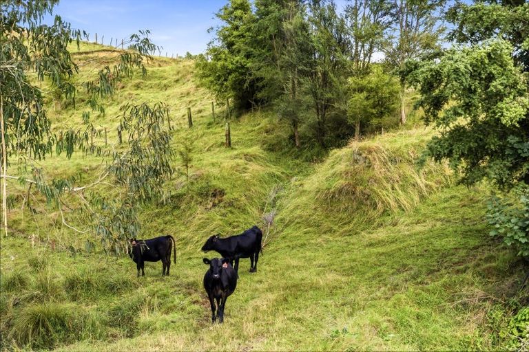 Photo of property in 211 Kururau Road, Taumarunui, 3991