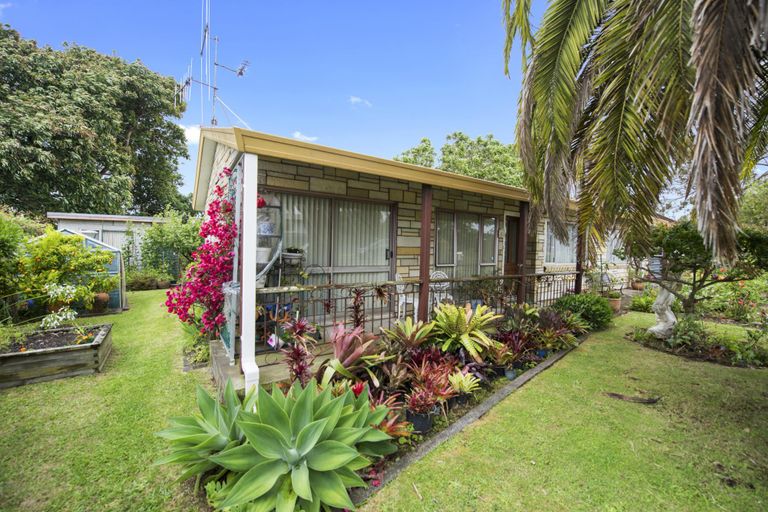 Photo of property in 18b Bongard Street, Gate Pa, Tauranga, 3112