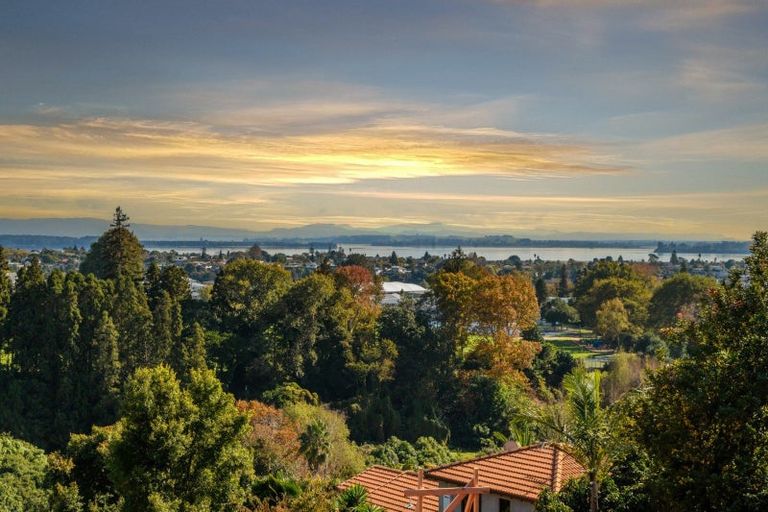 Photo of property in 16 Dysart Road, Otumoetai, Tauranga, 3110