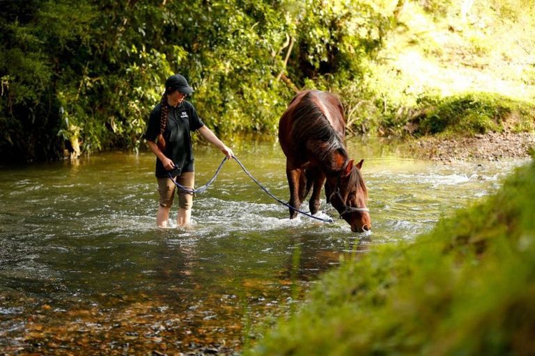 Photo of property in 202-206 Tapuhi Road, Hukerenui, Hikurangi, 0182