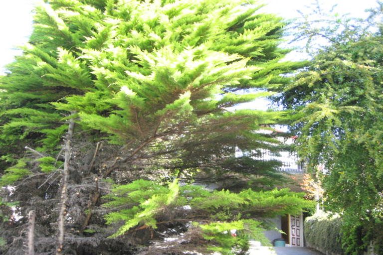 Photo of property in 48 Douglas Road, Wakatu, Nelson, 7011