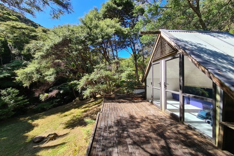 Photo of property in 79 Woods Road South, Colville, Coromandel, 3584