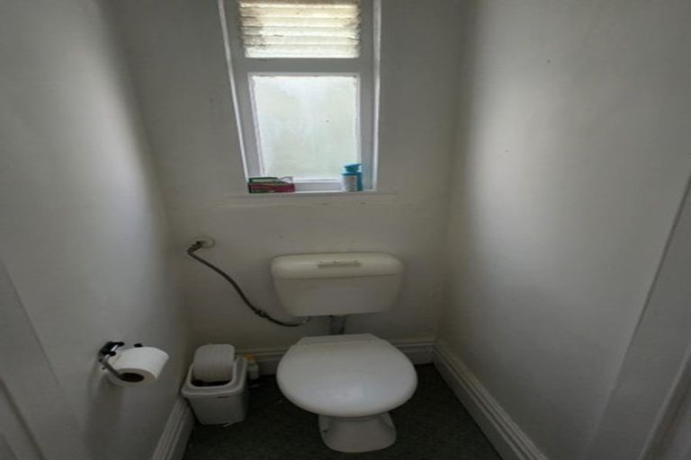 Photo of property in 35 Alexander Street, Kingsland, Auckland, 1021