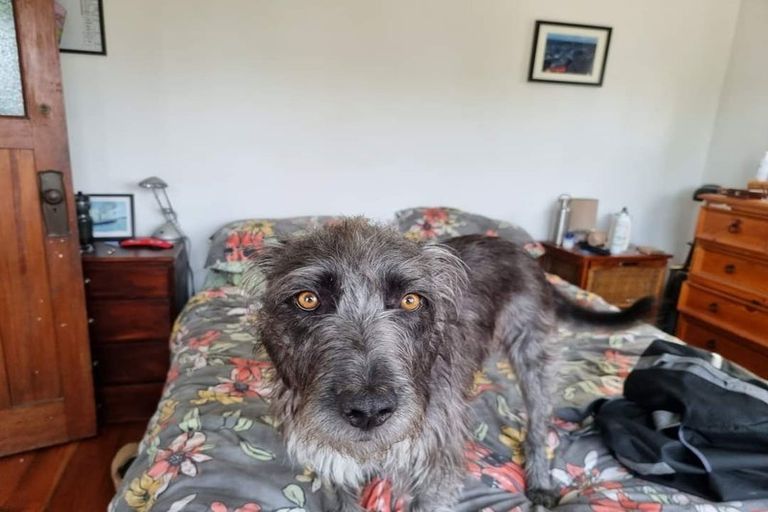 Photo of property in 1 High Street, Petone, Lower Hutt, 5012