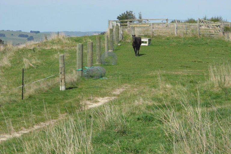 Photo of property in 350 Kowhatu Road, Waihaorunga, Waimate, 7977