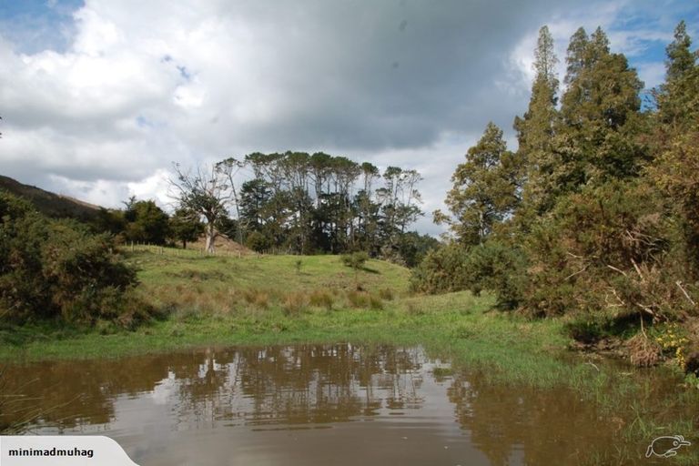 Photo of property in 229 Settlement Road, Kaiwaka, 0573