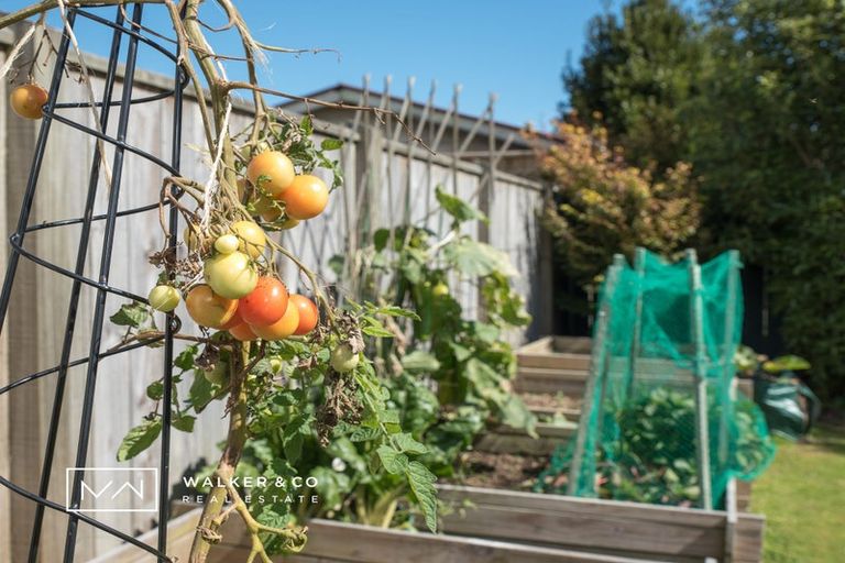 Photo of property in 31 Royal Street, Upper Hutt Central, Upper Hutt, 5018