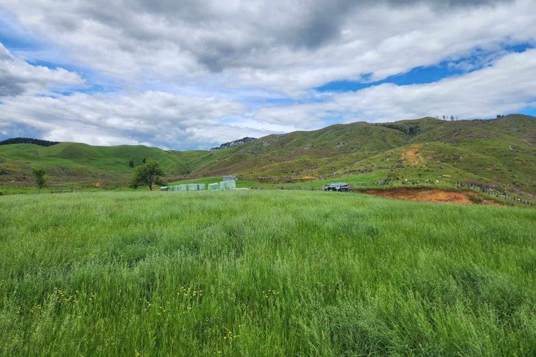 Photo of property in 201 Pond Road, Raglan, 3295