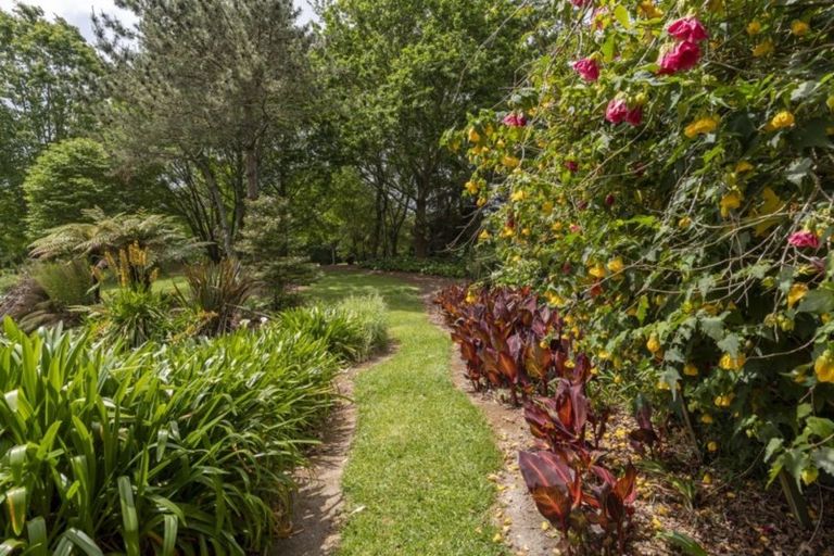 Photo of property in 57 Armstrong Road, Te Puna, Tauranga, 3174