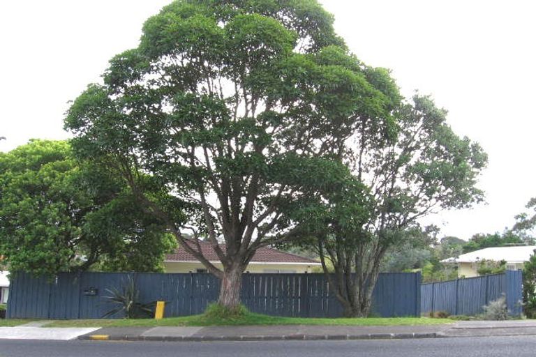 Photo of property in 132 Deep Creek Road, Torbay, Auckland, 0630
