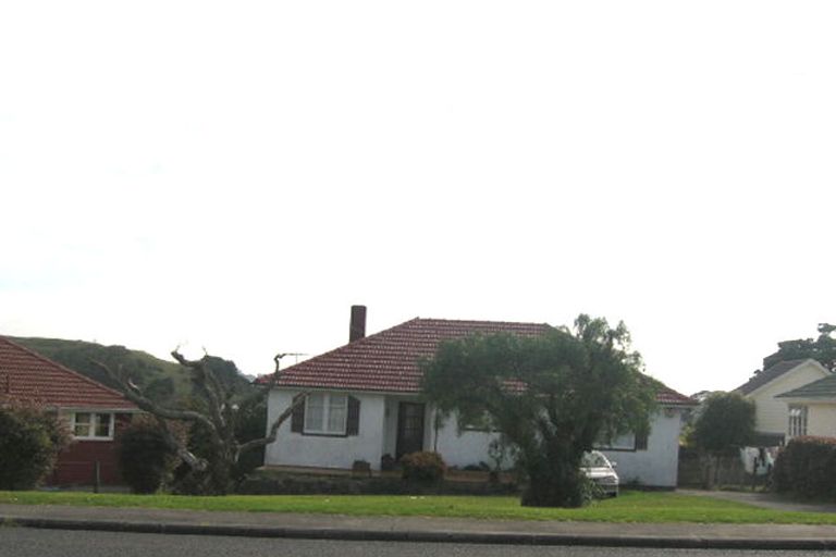 Photo of property in 550 Richardson Road, Mount Roskill, Auckland, 1041