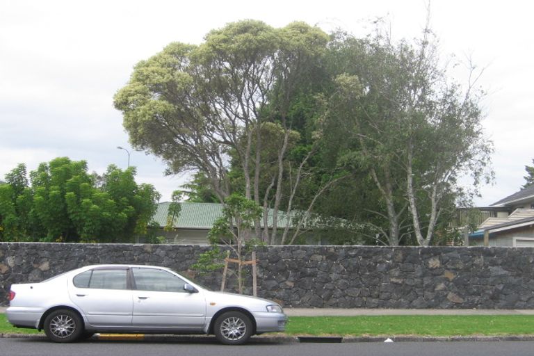 Photo of property in 750 Sandringham Extension, Mount Roskill, Auckland, 1041