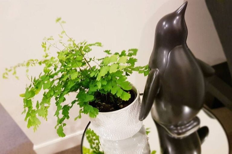 Photo of property in 1193 Hinemoa Street, Rotorua, 3010