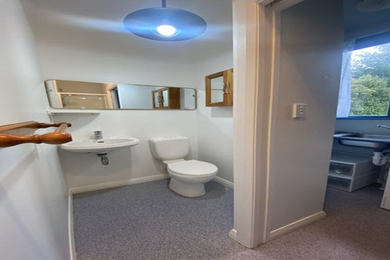 Photo of property in 29a Todman Street, Brooklyn, Wellington, 6021