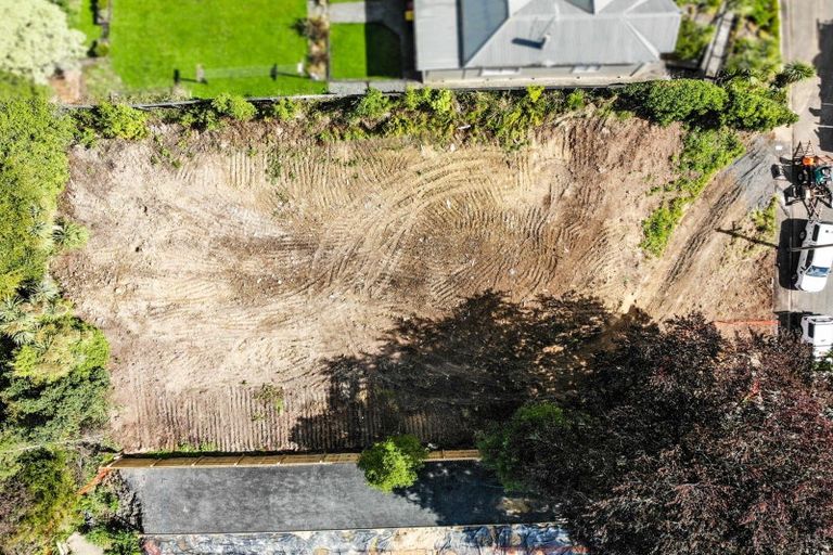 Photo of property in 15 Durham Street, Mornington, Dunedin, 9011