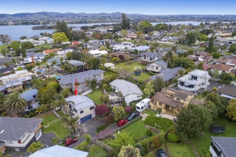 Photo of property in 50b Harvey Street, Tauranga South, Tauranga, 3112