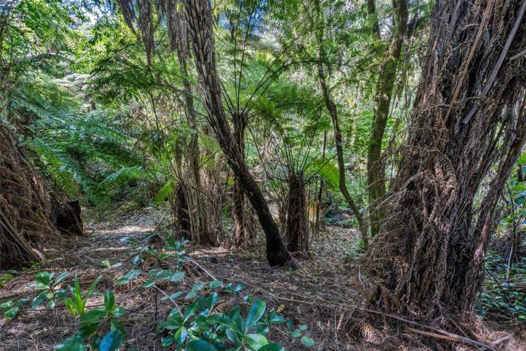 Photo of property in 29 Kayeleen Place, Cockle Bay, Auckland, 2014