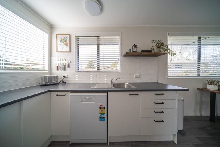 Photo of property in 45 Alison Street, Hamilton Lake, Hamilton, 3204