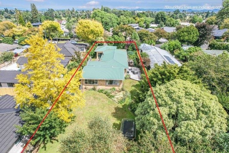 Photo of property in 38 Queenwood Avenue, Queenwood, Hamilton, 3210