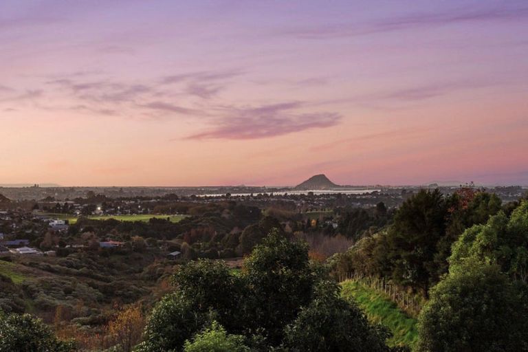 Photo of property in 20 Blackberry Way, Welcome Bay, Tauranga, 3175