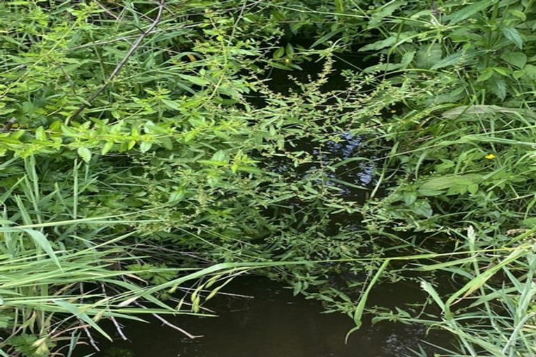 Photo of property in 167 Wilson Road, Patea, 4598