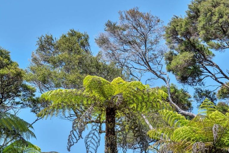 Photo of property in 42 Kopiko Road, Titirangi, Auckland, 0604