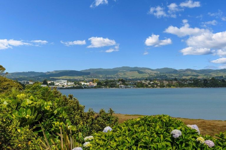 Photo of property in 58 Milton Road, Otumoetai, Tauranga, 3110
