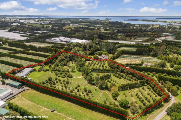 Photo of property in 63a Rea Road, Tahawai, Katikati, 3178