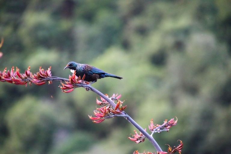 Photo of property in 740 Tauranga Direct Road, Hamurana, Rotorua, 3096