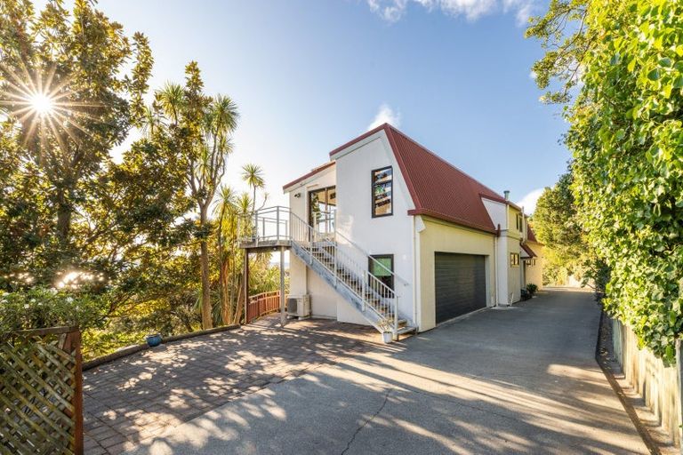 Photo of property in 21 Denholm Road, Hospital Hill, Napier, 4110
