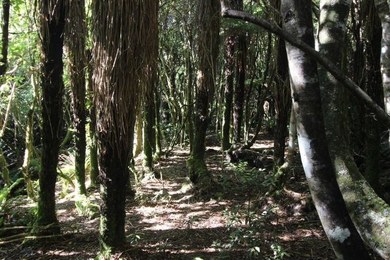 Photo of property in 552 Cuff Road, Erua, Owhango, 3990